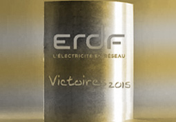 Médaille  d’or aux Victoires 2015 d’ENEDIS pour le projet MOSAIC